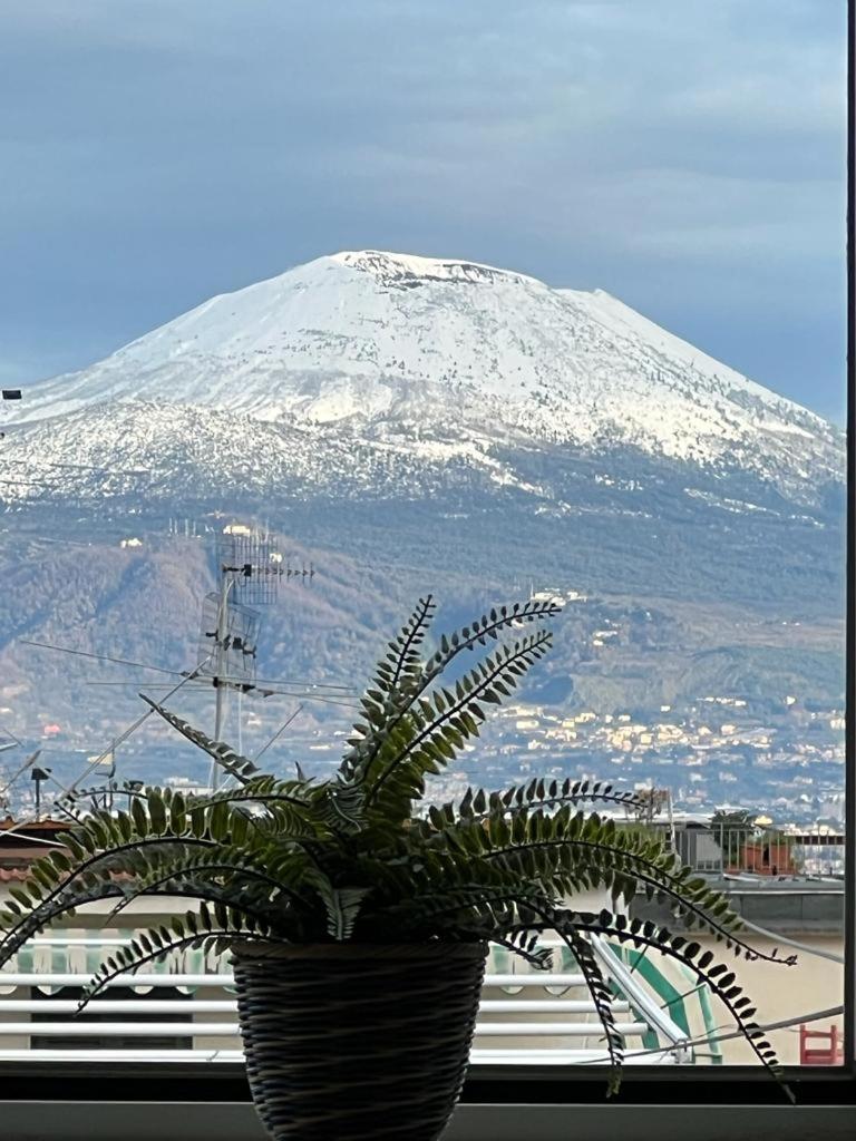 Vesuvio Apartamento *